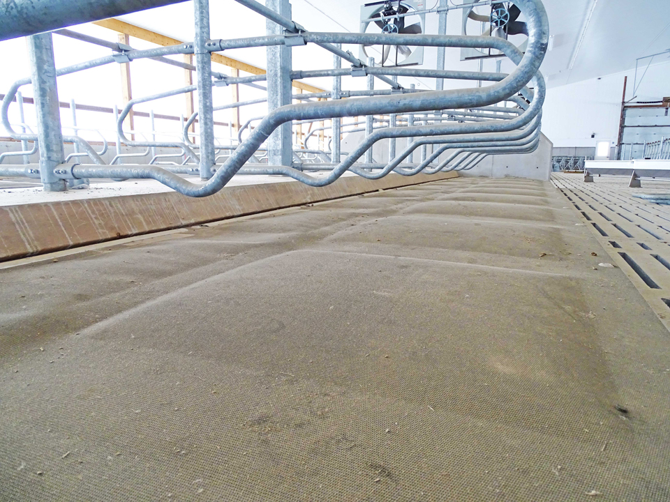 DCC Waterbeds Dairy Lane Systems Cow Comfort Equipment